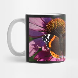 Red Admiral on Ecinachea Purpurea Mug